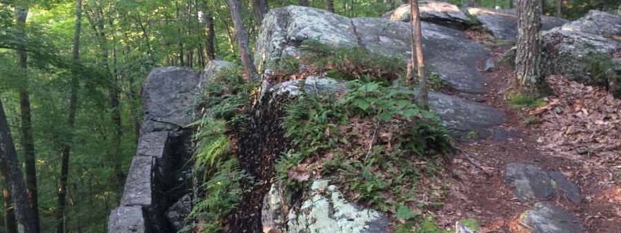 Tunxis Trail Ultramarathon